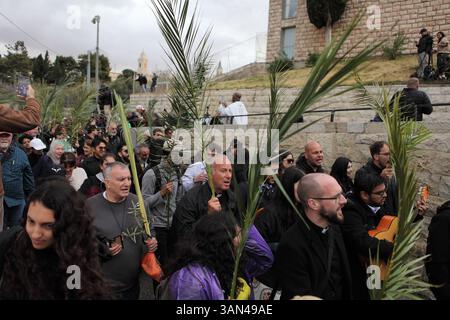 Christliche Pilger in der ganzen Welt singen und beten, während sie auf dem Mt. Oliven in einer Palmensonntagsprozession mit Palmenwedel und Olivenbaumzweigen. Stockfoto