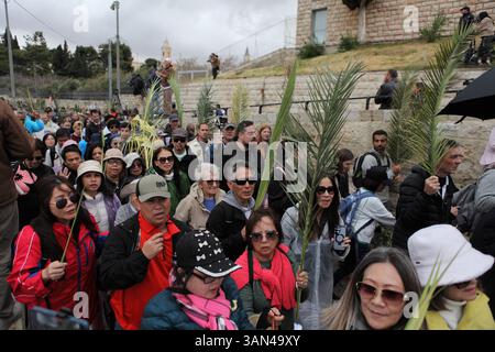 Christliche Pilger in der ganzen Welt singen und beten, während sie auf dem Mt. Oliven in einer Palmensonntagsprozession mit Palmenwedel und Olivenbaumzweigen. Stockfoto