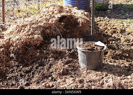 Ein großer Haufen Pferdemist im Garten und Gemüsegarten. Dung ist ein umweltfreundlicher Naturdünger, der im Dorf verwendet wird Stockfoto