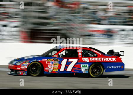26. Oktober 2008: Jacksonville Jaguars vs Cleveland Browns. Reggie Williams (11) feiert, nachdem er einen Touchdown im Jacksonville Municipal Stadium erzielt hat. Die Browns besiegten die Jaguars mit 23:17. (Kreditbild: © Cal Sport Media) Stockfoto