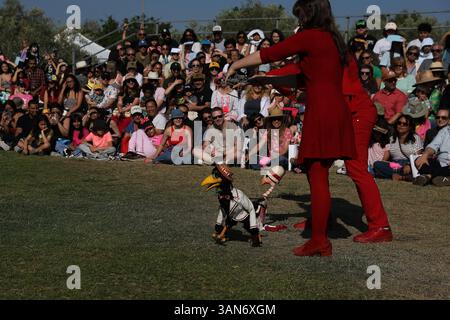 Los Angeles, USA. April 2025. Während des Bob Baker Day Festivals in Los Angeles, Kalifornien, USA, am 13. April 2025 wird eine Puppenshow gezeigt. Quelle: Qiu Chen/Xinhua/Alamy Live News Stockfoto