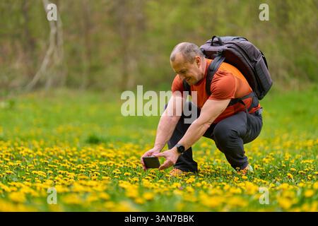 Mann hockt auf einer blühenden Löwenzahnwiese und macht ein Nahfoto mit seinem Smartphone Stockfoto