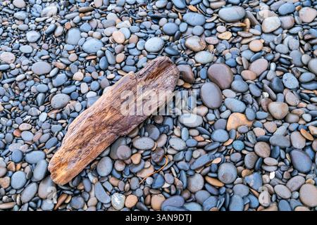 Ein großes Stück Treibholz liegt an einem felsigen Strand. Das Treibholz ist von einer Vielzahl kleiner Felsen umgeben, von denen einige verstreut sind Stockfoto