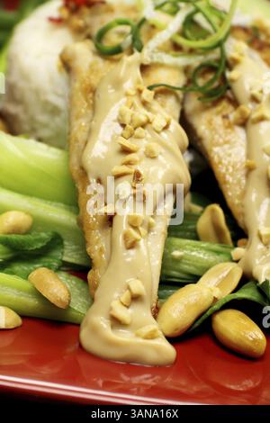 Köstliche Hühnchen-Satay-Spieße mit Erdnusssauce Stockfoto