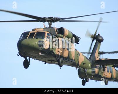 Zwei Blackhawk Hubschrauber der australischen Armee fliegen in enger Formation Stockfoto