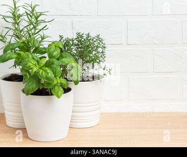 Aromatische Kräuter wie Basilikum, Rosmarin und Thymian gedeihen in weißen Töpfen auf einem Holztisch vor einer weißen Ziegelwand und schaffen eine frische und einladende Küche Stockfoto