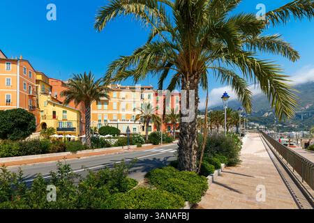 Farbenfrohe Gebäude entlang der Straße und Palmen entlang der Promenade unter blauem Himmel an einem sonnigen Sommertag in Menton, Frankreich. Stockfoto