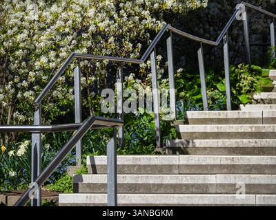 Steintreppe im Freien mit Metallgeländern, umgeben von üppigem Grün und blühenden weißen Blumen. Stockfoto