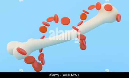 Eine 3D-Darstellung von verstreuten roten Blutkörperchen oder Erythrozyten ist neben einem Femurknochen deutlich sichtbar. Stockfoto