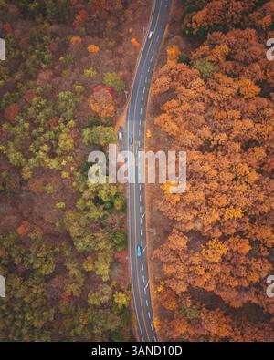Luftaufnahme einer Straße zum Mount Haruna während der Koyo-Saison, Gunma, Japan. Stockfoto