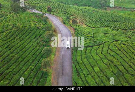 Aus der Vogelperspektive eines weißen Van, der durch die Rancabali-Teeplantagen auf der West-Java-Insel, Indonesien fährt. Stockfoto