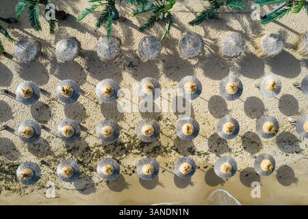 Blick aus der Vogelperspektive auf den Strand Rappongi mit Sonnenschirmen und Palmen am Schwarzen Meer, Varna, Bulgarien. Stockfoto