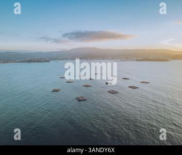 Aus der Vogelperspektive auf Muschelfarmen bei einem wunderschönen Sonnenuntergang über Ria de Baiona, Nigran, Pontevedra, Spanien. Stockfoto