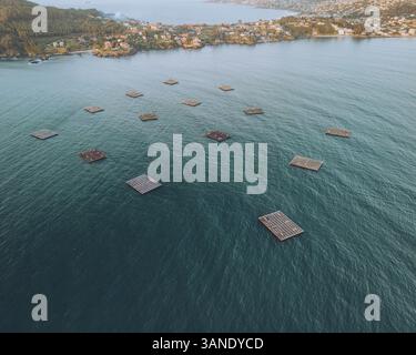 Aus der Vogelperspektive der Muschelfarmen in der ruhigen Ria de Baiona, Nigran, Pontevedra, Spanien. Stockfoto