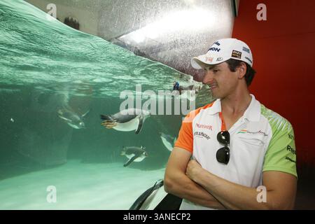 25. März 2010 - Melbourne, Australien - Deutscher Fahrer ADRIAN SUTIL von Force India F1 im Melbourne Aquarium...Formel-1-Weltmeisterschaft, Rd 2, Grand Prix von Australien, Vorbereitungen. (Vermerk: © Sutton Motorsports/ZUMA Press) Stockfoto