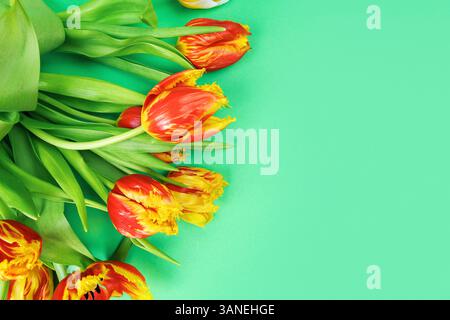 Elegante Tulpenanordnung auf grüner Oberfläche Stockfoto