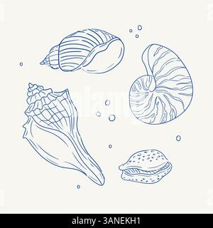 Sammlung handgezeichneter Muscheln, die Meereslebewesen aus dem Ozean zeigen Stock Vektor