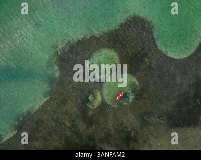 Aus der Vogelperspektive von Menschen mit einem Kajak am Mahahual Beach in Quintana Roo, Mexiko. Stockfoto