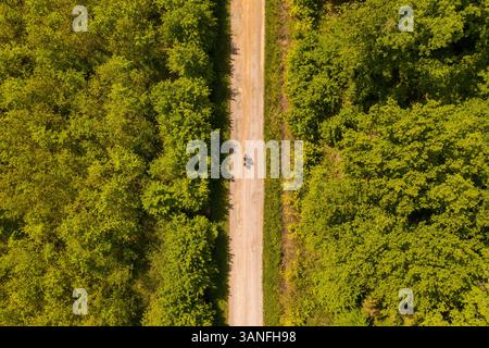 Aus der Vogelperspektive einer Person, die auf einer schmutzigen Straße im Wald radelt, Zagreb, Kroatien. Stockfoto