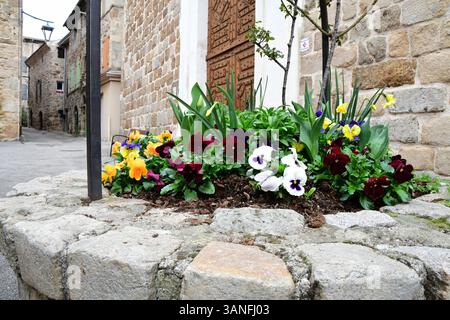 Blumendekoration mit Stiefmütterchenblumen vor der Kirche des mittelalterlichen Dorfes. Ein mittelalterliches Dorf in Frankreich bietet einen Einblick in das Leben vor Jahrhunderten, mit engen kopfsteingepflasterten Gassen, Steinhäusern und Fachwerkhäusern, die oft um eine zentrale Kirche oder Burg gruppiert sind. Diese Dörfer waren autarke Gemeinden, in denen die Menschen bewirtschafteten, auf Märkten gehandelt und im Rhythmus der Jahreszeiten lebten. Umgeben von Schutzmauern oder hoch auf Hügeln zur Verteidigung, haben viele ihren ursprünglichen Charme und ihre Architektur erhalten, was sie bei Geschichtsliebhabern und Touristen beliebt macht Stockfoto