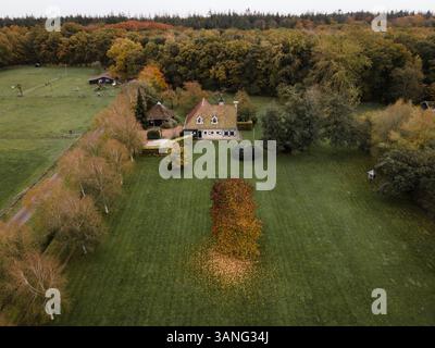 Blick aus der Vogelperspektive auf ein ruhiges Haus inmitten ruhiger Kiefern in einer herbstlichen Landschaft, Oudemirdum, Niederlande. Stockfoto