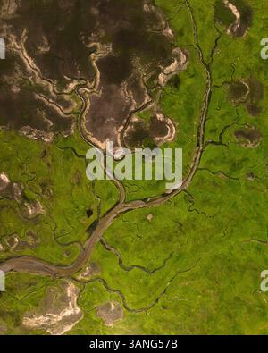 Aus der Vogelperspektive auf Ebbe Marschland und mäandernden Fluss im Naturschutzgebiet, Verdronken Land van Saeftinghe, Zeeland, Niederlande. Stockfoto