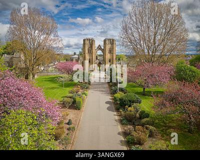 Elgin Cathedral Moray Schottland im Frühling und Bäume voller rosafarbener Blüten Stockfoto