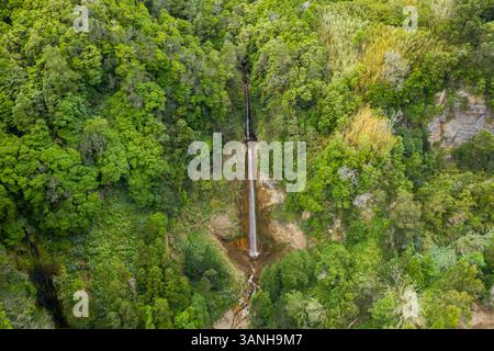 Luftaufnahme des Wasserfalls im Wald, Cascata da Ribeira Quente, Ribeira Quente, Azoren, Portugal. Stockfoto