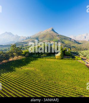 Luftaufnahme des Weinguts mit Bergen im Hintergrund, Stellenbosch NU, Westkap, Südafrika. Stockfoto