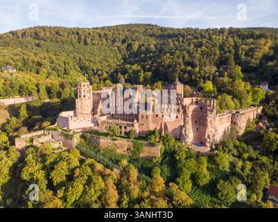 Luftaufnahme über dem Heidelberger Schloss in Deutschland. Stockfoto