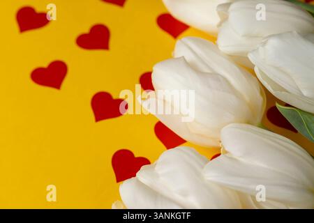 Tulpen auf gelbem Papier mit roten Herzen, roten Herzen und weißen Tulpenblüten auf gelbem Papier Stockfoto
