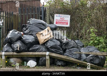 Spring Road, Acocks Green, Birmingham, 15. April 2025: Während Müllarbeiter weiterhin mit Unterstützung der Unite Union streiken, leiden die Gebiete in Birmingham immer noch unter dem Abfall, der außerhalb von Häusern und Unternehmen verbleibt. Ein großer Stapel Müllsäcke wurde vor einem Schild mit dem Hinweis „kein Abladen“ auf der Spring Road im Acocks Green Area der Stadt vor Geldstrafen von bis zu 20.000 Pfund zurückgelassen. Quelle: British News und Media/Alamy Live News Stockfoto