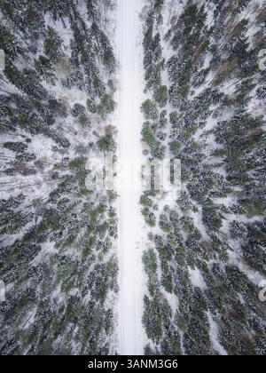 Luftaufnahme einer leeren, schneebedeckten Straße im nordischen Wald in Estland. Stockfoto