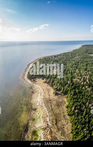Panoramablick auf den Algenstrand umgeben von Wald auf der Insel Vormsi, Estland Stockfoto