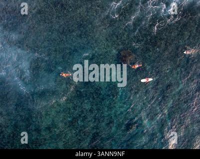 Aus der Vogelperspektive auf Surfer, die im wunderschönen Meer mit klarem Wasser und Wellen paddeln, General Luna, Philippinen. Stockfoto