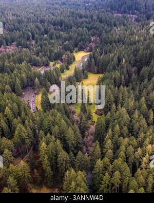 Aus der Vogelperspektive des Silver Falls State Park, Oregon, USA. Stockfoto