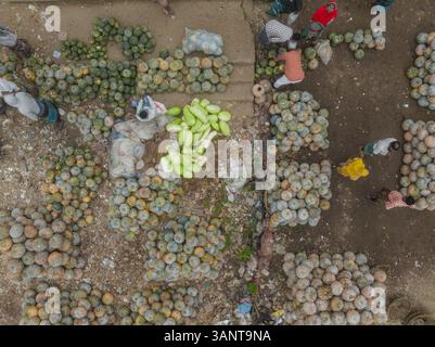 Dhaka, Bangladesch - 2. Februar 2025: Aus der Vogelperspektive auf einen lebhaften Gemüsemarkt voller Händler und Menschen, Sutrapur Thana, Dhaka, Bangladesch. Stockfoto