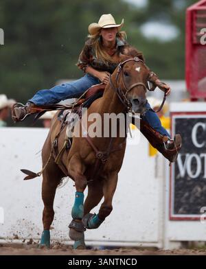 26. Juli 2011: Das Cowgirl Mandi Jo Fox tritt bei 18,61 der 115. Jährlichen Frontier Days-Feier im Frontier Park in Cheyenne, WY, an. (Bild: © William Mancebo/Cal Sport Media/ZUMAPRESS.com) Stockfoto