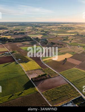 Aus der Vogelperspektive grüne landwirtschaftliche Felder, San Clemente, Cuenca, Spanien. Stockfoto