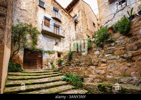 Enge Gasse mit Kopfsteinpflastertreppen und Töpfen mit bunten Pflanzen und Blumen, Valderrobres, Teruel. Stockfoto