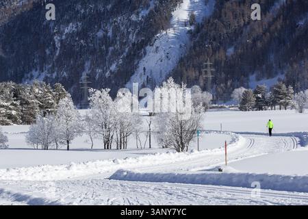 Winterlandschaft mit gefrorenen Bäumen und Langlaufloipen in den Alpen Stockfoto