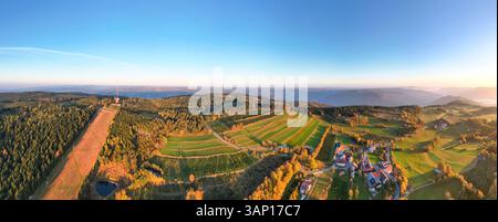 Aus der Vogelperspektive eine ruhige herbstliche ländliche Landschaft mit Ackerland und Bäumen, Jauerling, Wachau, Niederösterreich. Stockfoto
