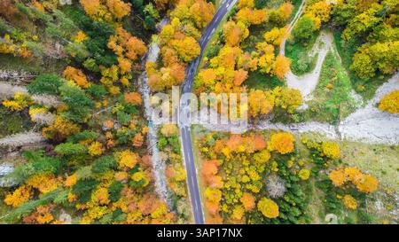 Aus der Vogelperspektive auf die gewundene Straße durch den lebhaften Herbstwald mit farbenfrohen Blättern, Kalkalpen, Steiermark, Österreich. Stockfoto
