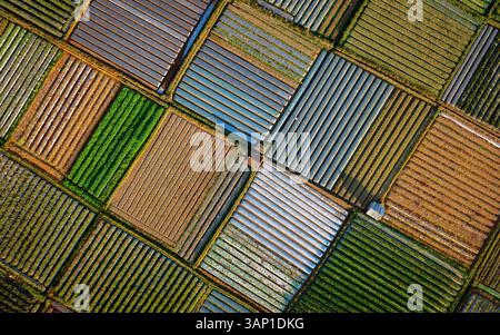Aus der Vogelperspektive auf Sembalun Village, Reisfelder, Lombok, West Nusa Tenggara, Indonesien. Stockfoto