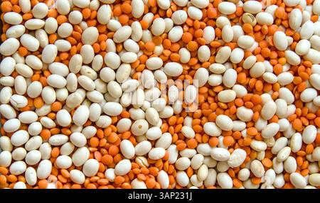 Rote Linsen und weiße Bohnen auf schwarzem Hintergrund. Selektiver Fokus. Stockfoto