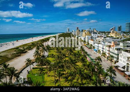 Blick aus der Vogelperspektive auf den wunderschönen Strand mit Palmen und Skyline, Miami, USA. Stockfoto