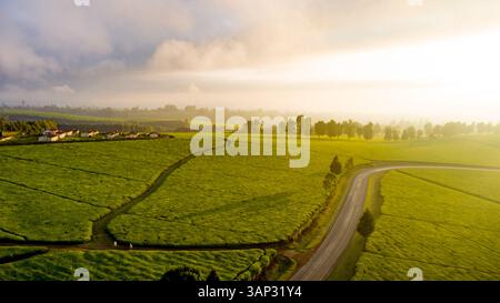 Aus der Vogelperspektive auf den Sonnenaufgang über einer üppigen Teeplantage mit Bäumen und Wolken, Limuru, Kenia. Stockfoto