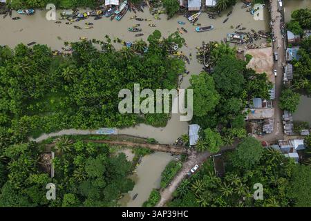 Blick aus der Vogelperspektive auf den schwimmenden Guava-Markt mit Booten auf einem überfluteten Fluss, umgeben von Grün und ländlichen Häusern, Barishal, Bangladesch. Stockfoto