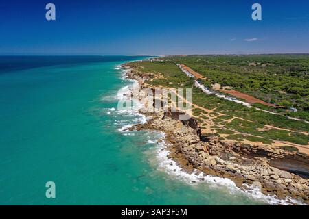 Aus der Vogelperspektive auf eine felsige Küste am Strand von Cala del Faro mit türkisfarbenem Wasser und grüner Vegetation, die entlang der Küste im Conil de la F wächst Stockfoto