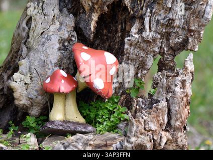 Nahaufnahme von pilzförmigen Objekten auf einem Baum. Stockfoto